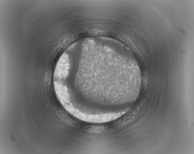 X0000115400458200912151524