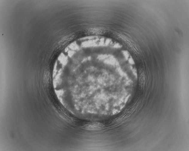 X0000115400459200912151524