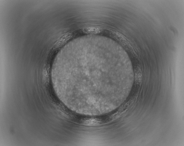 X0000115400460200912151524