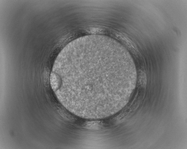 X0000115400461200912151524