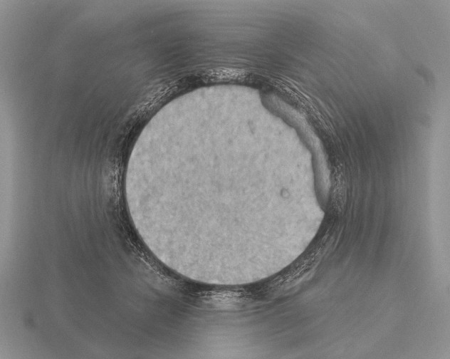 X0000115400462200912151524