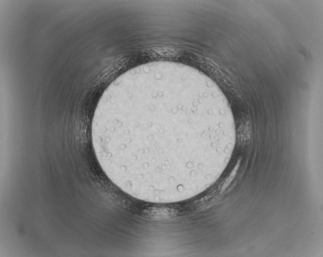 X0000115400464200912151524