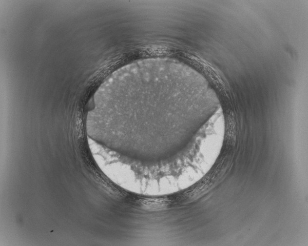 X0000115400465200912151524