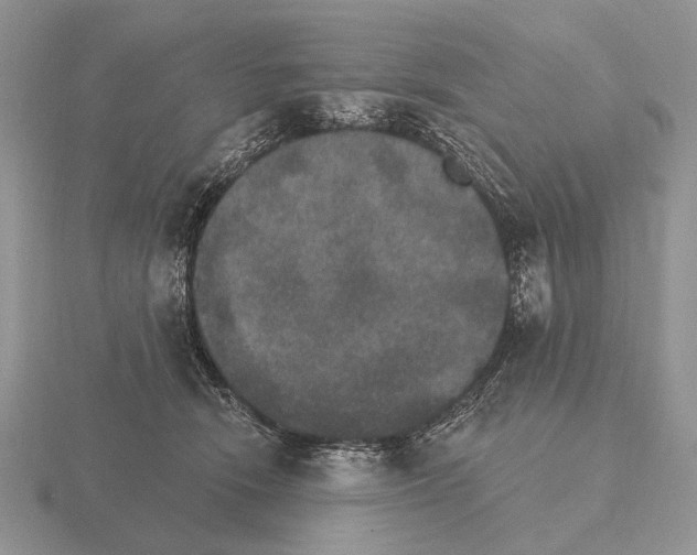 X0000115400466200912151524