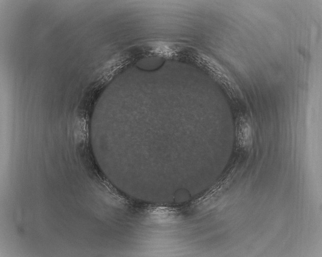 X0000115400467200912151524