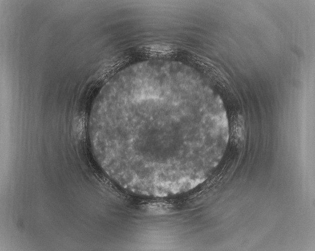 X0000115400468200912151524