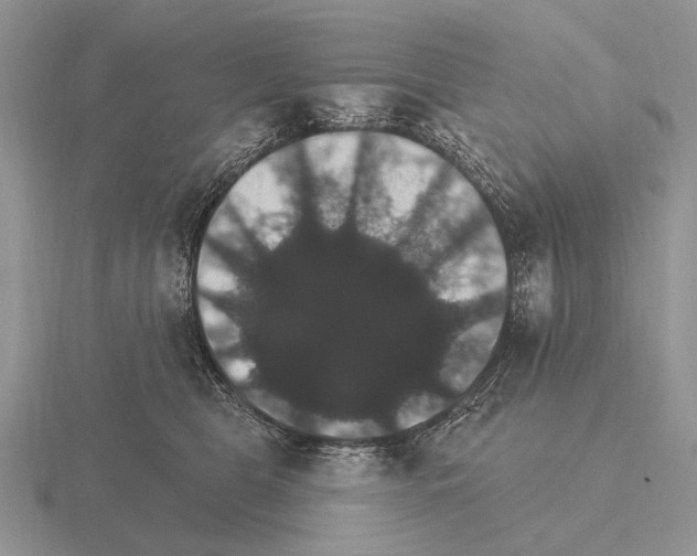 X0000115400469200912151524