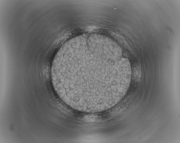 X0000115400470200912151524