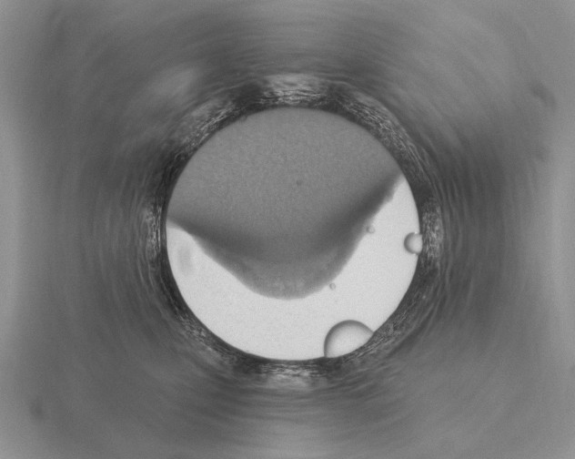 X0000115400471200912151524