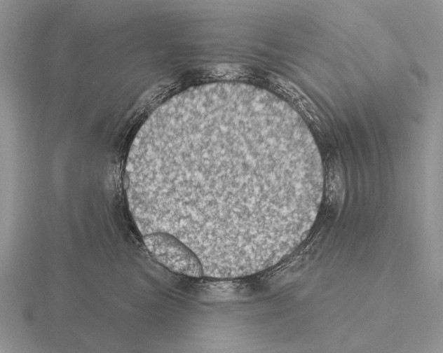 X0000115400473200912151524