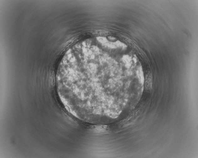 X0000115400474200912151524