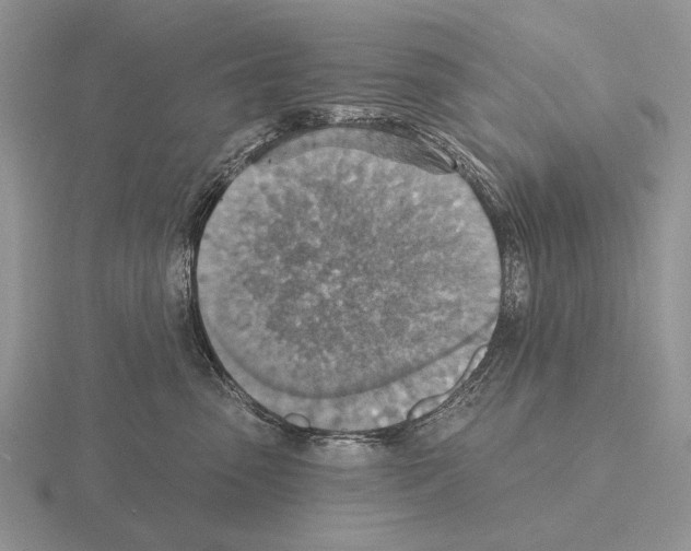 X0000115400475200912151524