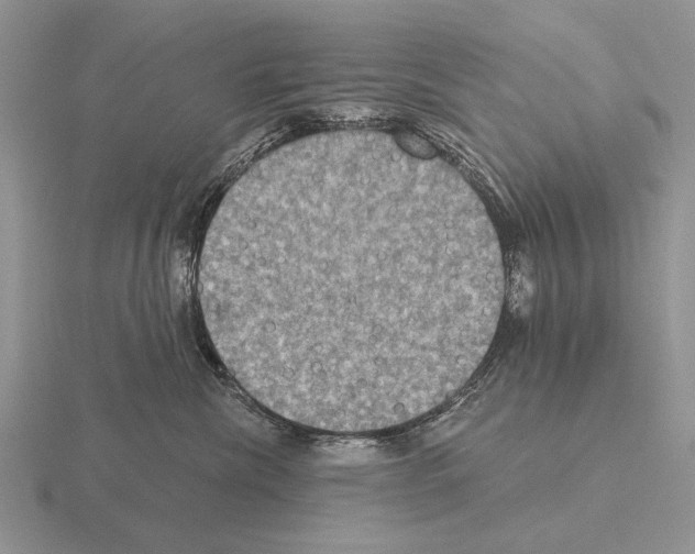 X0000115400476200912151524