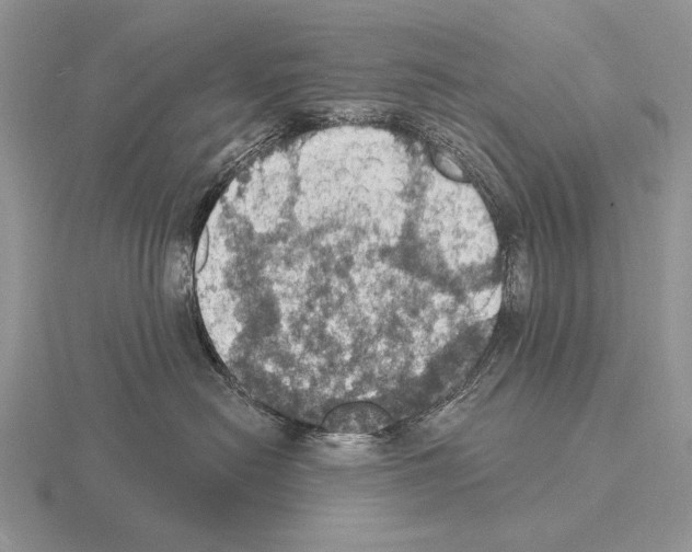 X0000115400478200912151524