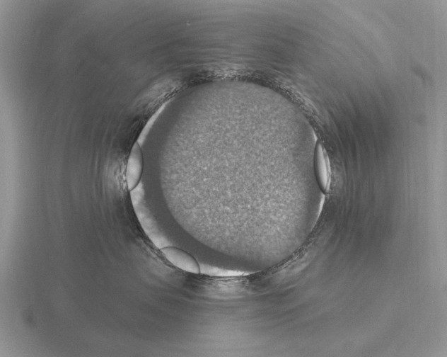 X0000115400479200912151524