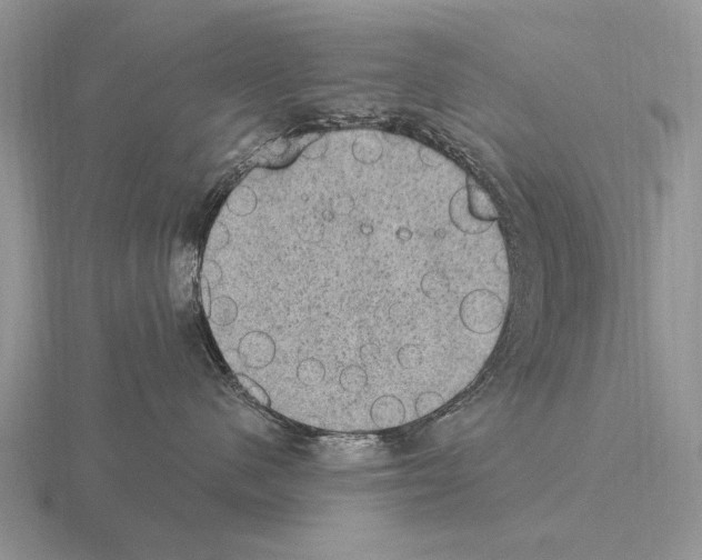 X0000115400480200912151524