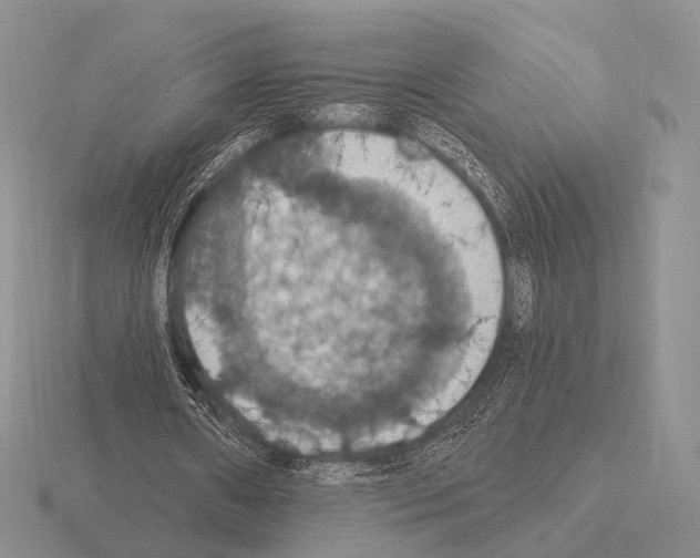 X0000115400482200912151523