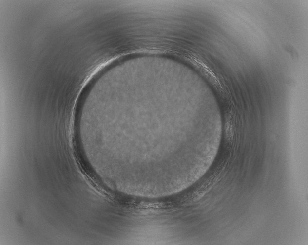 X0000115400484200912151523