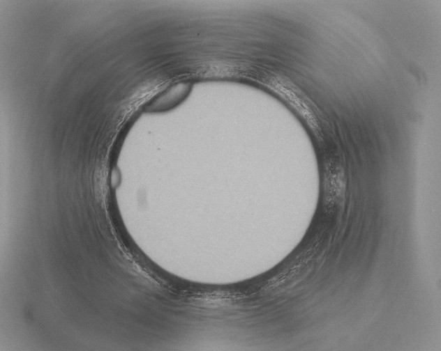 X0000115400485200912151523