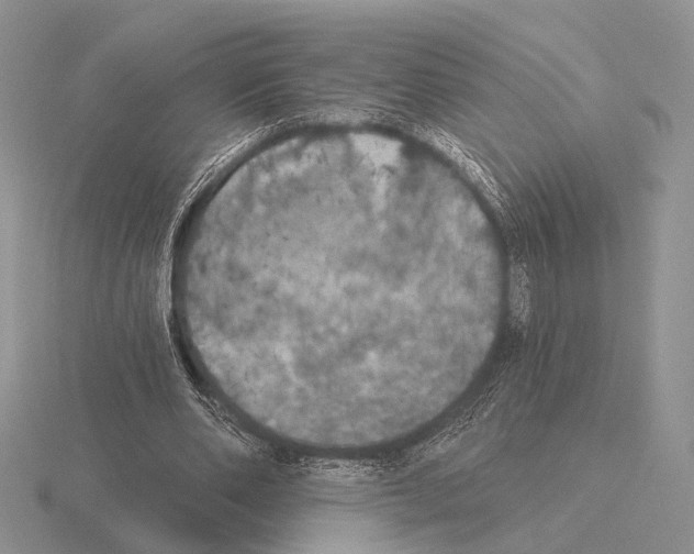 X0000115400486200912151523