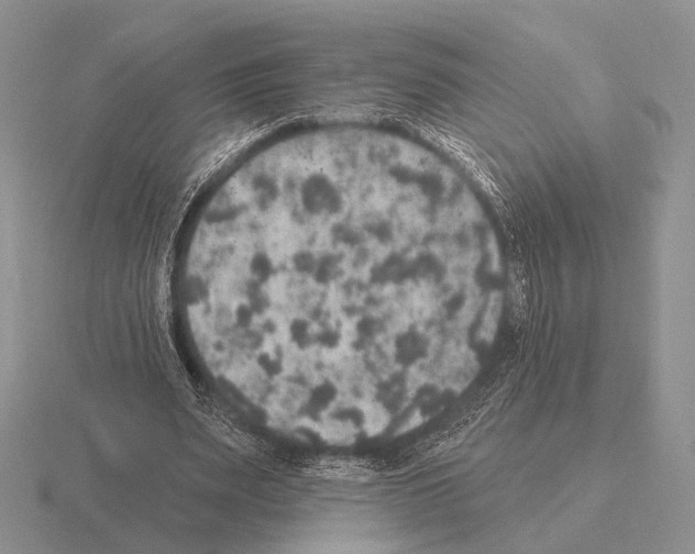 X0000115400487200912151523