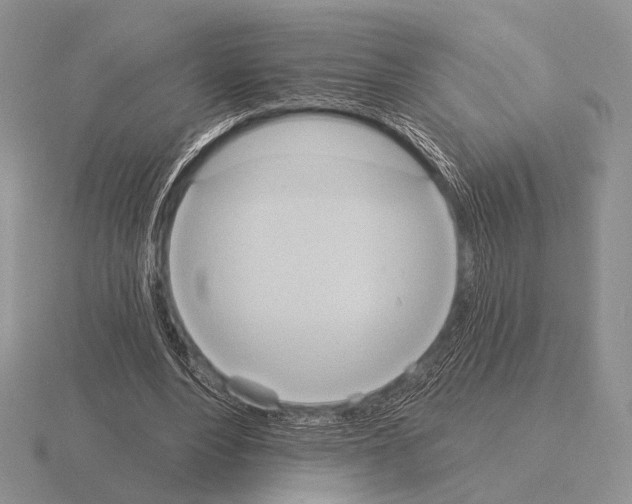 X0000115400488200912151523