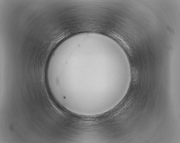 X0000115400489200912151523