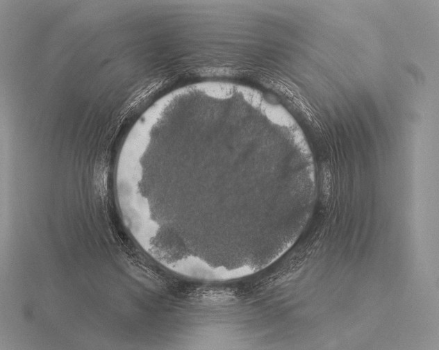 X0000115400491200912151523