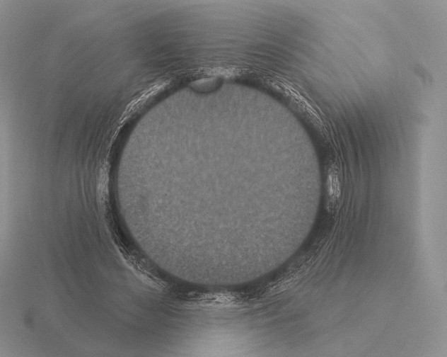 X0000115400492200912151523