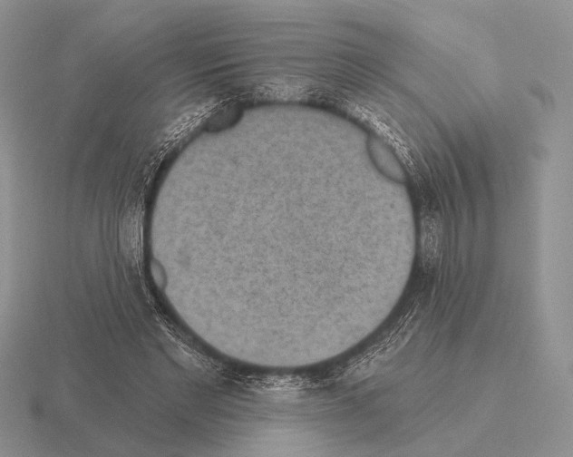 X0000115400493200912151523