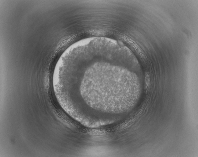 X0000115400494200912151523