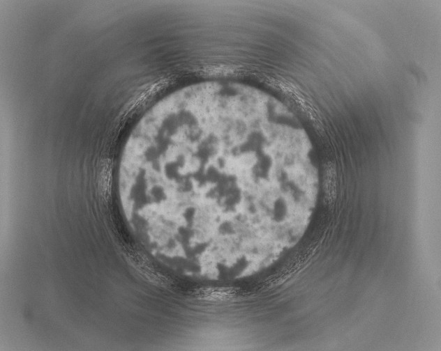 X0000115400495200912151523