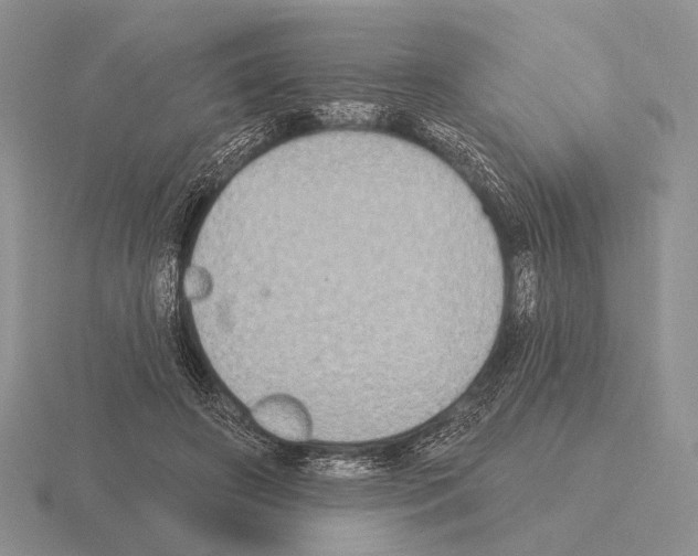 X0000115400498200912151523