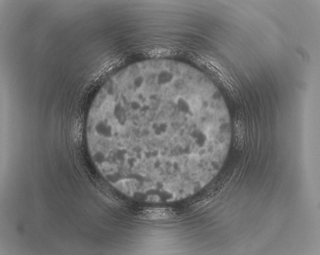 X0000115400499200912151523