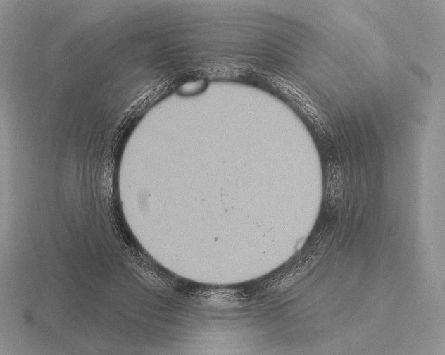 X0000115400501200912151523