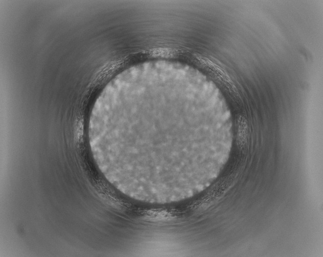 X0000115400502200912151523