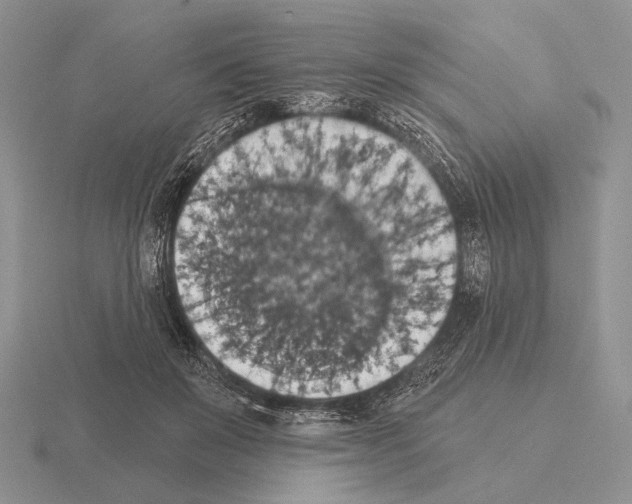 X0000115400503200912151523