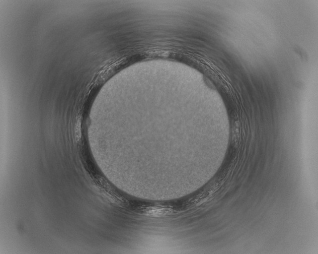 X0000115400504200912151523