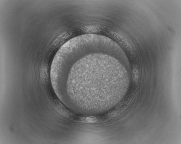 X0000115400506200912151523