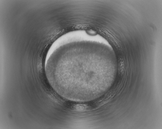 X0000115400508200912151523