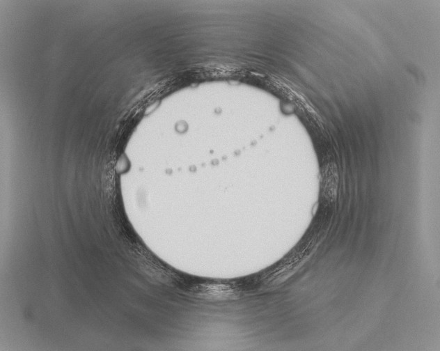 X0000115400509200912151523