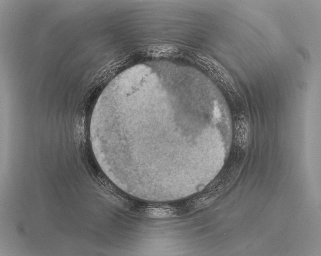 X0000115400510200912151523