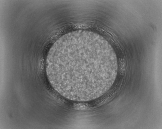 X0000115400511200912151523