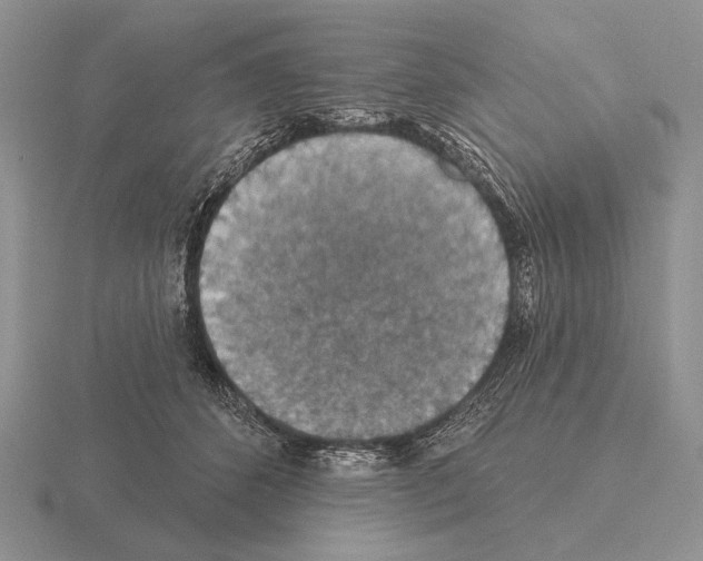 X0000115400512200912151523