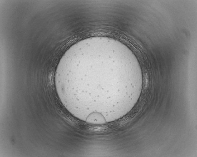 X0000115400514200912151523