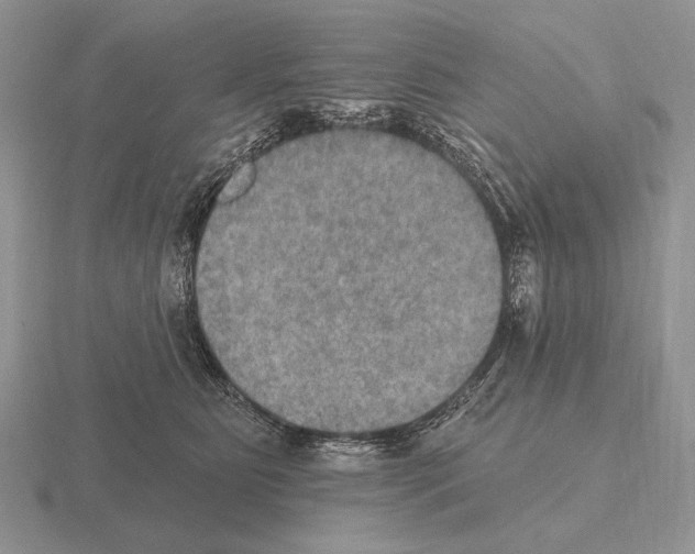 X0000115400515200912151523