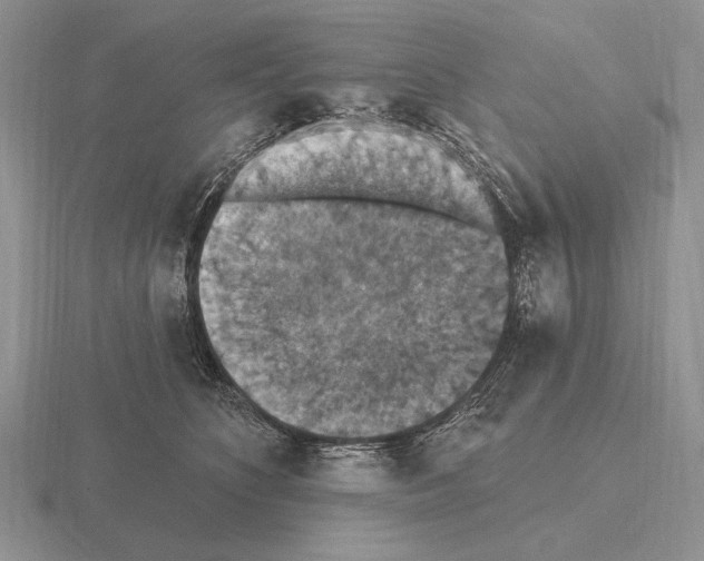 X0000115400516200912151523