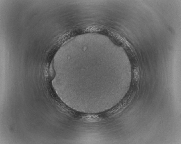 X0000115400517200912151523