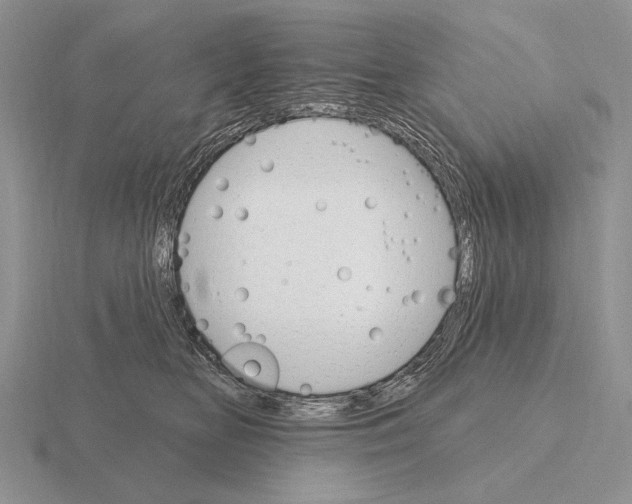 X0000115400518200912151523