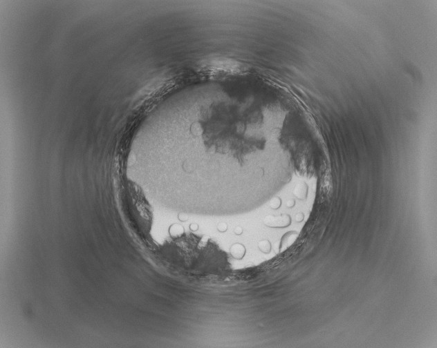 X0000115400519200912151523